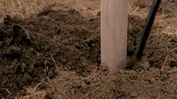 Náhled 12 podmínek k dědictví - The ultimate gift USA 2006 czdub Drama Rodiný DVDrip.avi (2)