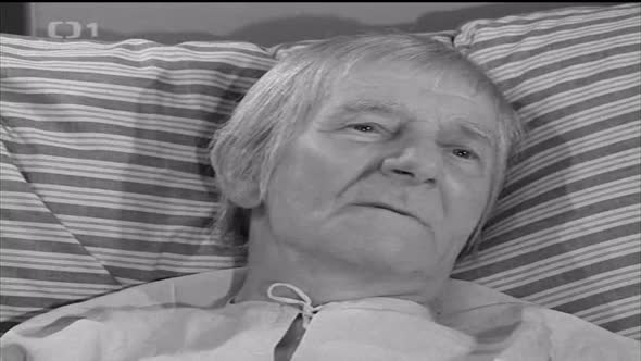 Náhled F.-L. Věk -10- (1970).avi (1)