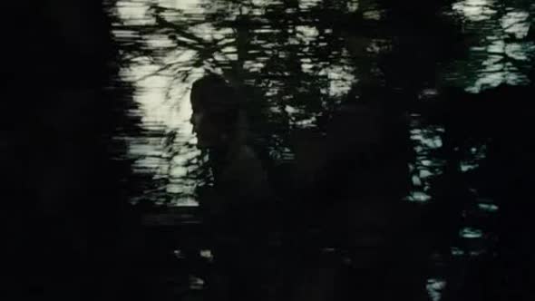 Náhled PERCY JACKSON - ZLODĚJ BLESKU.avi (5)