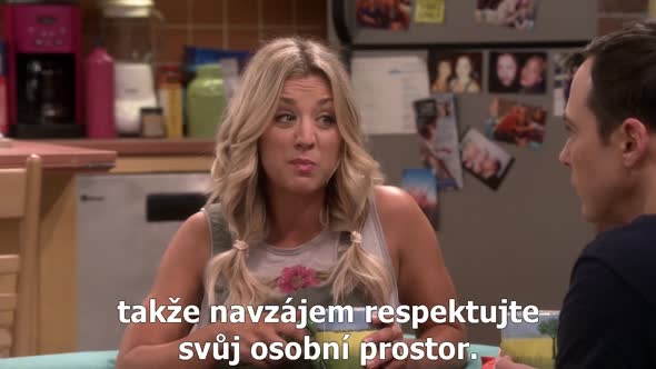 Náhled The Big Bang Theory S10E04 cz titulky.avi (4)