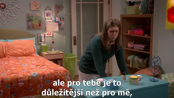 Náhled The Big Bang Theory S10E04 cz titulky.avi (6)