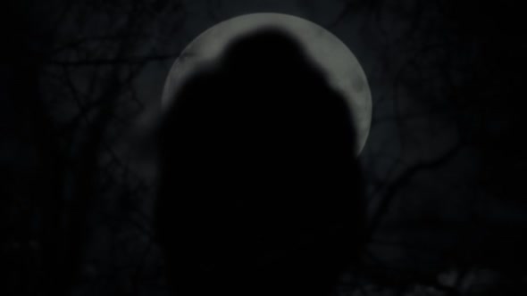 Náhled Čarodějnice (The Witch), CZ dabing (2015).avi (1)