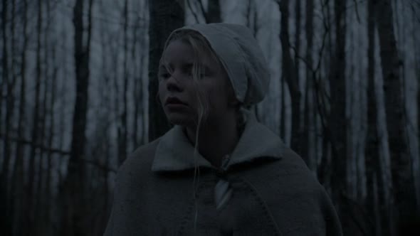 Náhled Čarodějnice (The Witch), CZ dabing (2015).avi (5)