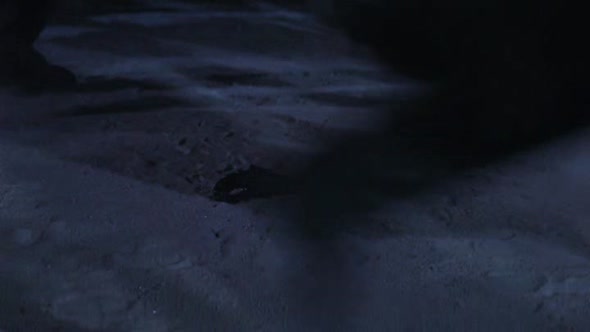 Náhled Doktor Živago - Doctor Zhivago - 1965 DVDrip CZdabing.avi (2)