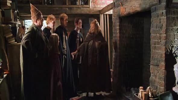Náhled Harry Potter a Tajemná komnata CZDAB.avi (1)
