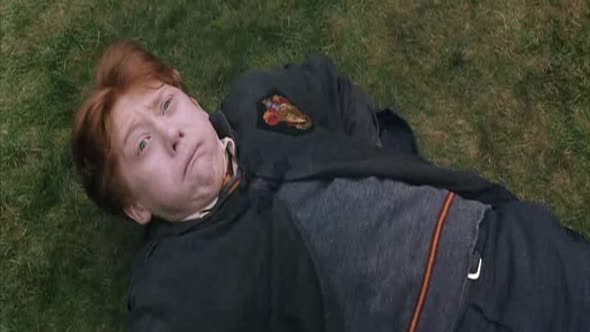 Náhled Harry Potter a Tajemná komnata CZDAB.avi (3)