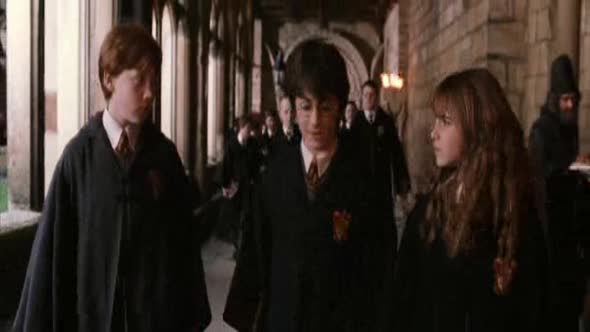 Náhled Harry Potter a Tajemná komnata CZDAB.avi (4)