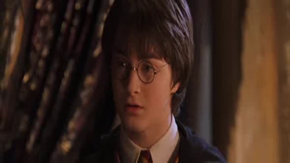 Náhled Harry Potter a Tajemná komnata CZDAB.avi (6)