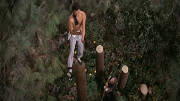 Náhled Nepřemožitelný Shaolin-1978.avi (6)