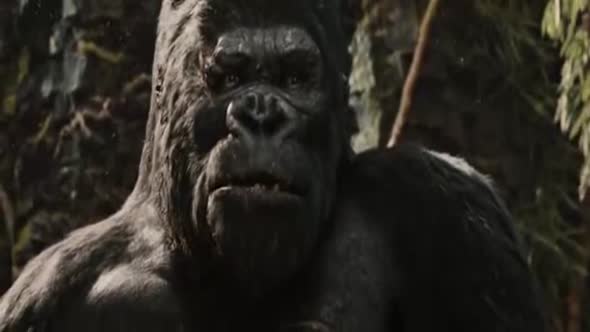 Náhled King Kong 2005.avi (6)