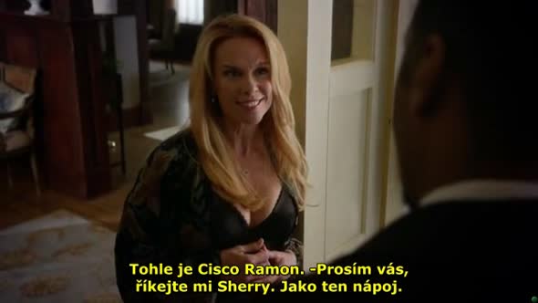Náhled THE FLASH S01E13 CZTIT - scifi, akční seriál.avi (2)