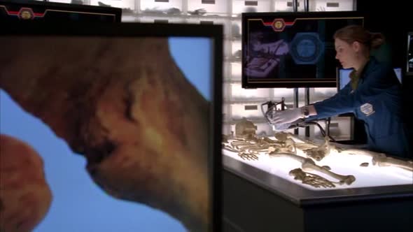 Náhled Sberatele kosti - Bones S04E18 Doktor v tygrim vybehu (CZ).avi (5)