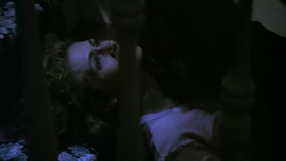 Náhled Noci s nepřítelem-CZ-1991-Thriller.avi (8)