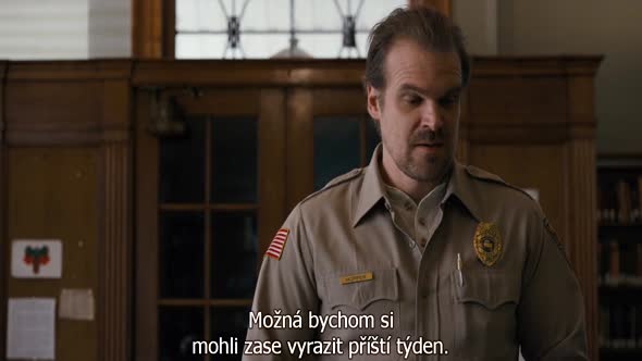 Náhled Stranger_Things_S01E03.720p.HDTV.CZ.Titulky.avi (6)
