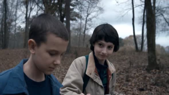 Náhled Stranger_Things_S01E03.720p.HDTV.CZ.Titulky.avi (9)