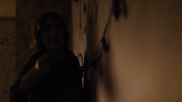 Náhled Stranger_Things_S01E03.720p.HDTV.CZ.Titulky.avi (10)