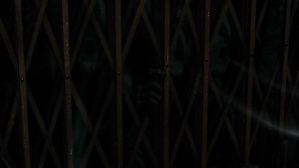Náhled Harry Potter a Relikvie smrti - část 1.avi (5)