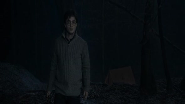 Náhled Harry Potter a Relikvie smrti - část 1.avi (8)