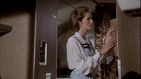 Náhled pripoutejte.se.prosim.dvdrip.czdab.avi (3)