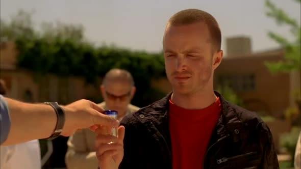Náhled Breaking-Bad---S04E10---CZ Dabing.avi (10)