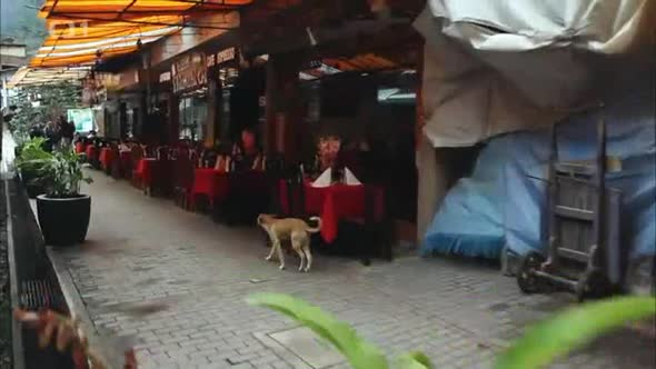 Náhled - TRABANTEM AZ NA KONEC SVETA Road movie CZ DABING 2014 Dokumentární.avi (7)