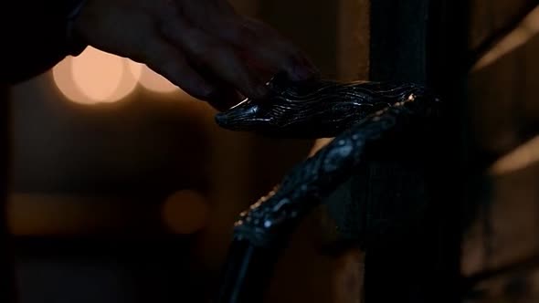 Náhled The Strain.S03E05.CZ titulky.WEB-DL.XviD.avi (6)