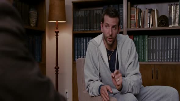 Náhled Terapie láskou (2012 Komedie Drama Romantický).avi (2)