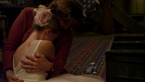 Náhled Shameless.S01E10.BDRip.XviD-REWARD.avi (10)