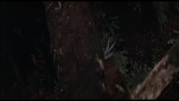 Náhled RAMBO - PRVNÍ KREV 1982 HD CZ dabing.avi (6)