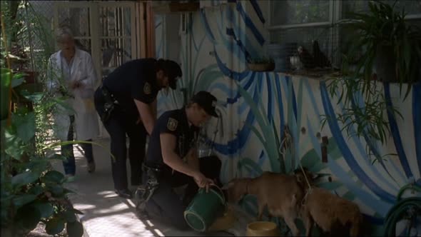 Náhled SUPERPOLICAJTI Z MIAMI (1985).avi (8)