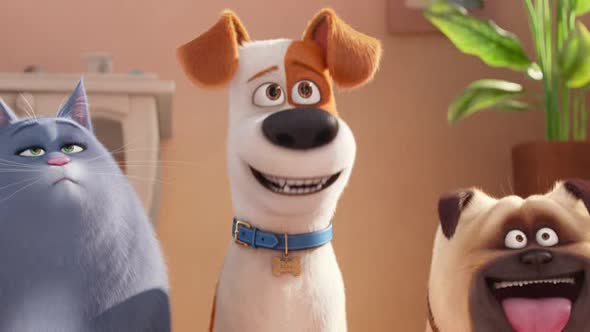 Náhled The Secret Life of Pets (2016) BRRip.XviD.MP3-CZ.avi (1)