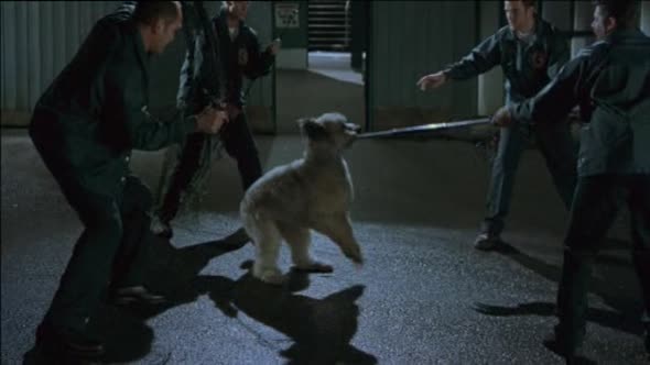 Náhled Karate dog -komedie-cz.avi (9)