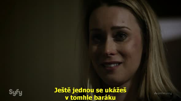 Náhled Van Helsing.S01E02.CZ titulky.720p.HDTV.avi (3)