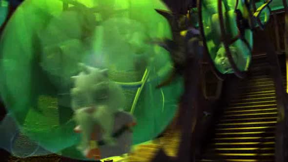 Náhled Zhu Zhu Pets Kouzelná říše Zhu CZdab.2011.avi (7)