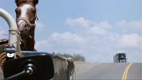 Náhled Terence Hill - 1987 - Dobrodruh.avi (2)