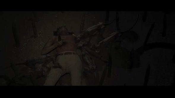 Náhled PYRAMIDA 2014 CZ DABING BLURAY.avi (7)