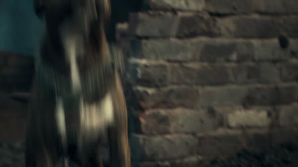 Náhled Peaky Blinders S01E03 - BRrip HD720p CZtitulky.mkv (2)