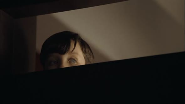 Náhled Chlapec v pruhovaném pyžamu_super,válečný,drama_CZdab.avi (8)