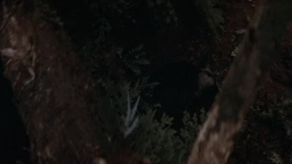 Náhled Rambo-1---Prvni-krev---1982cz.avi (6)