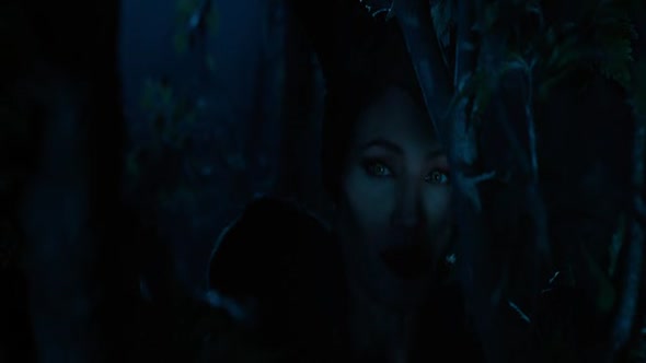 Náhled Vladkyňa zla - Maleficent.2014.BDRip.XviD.CZ-DABING.avi (6)
