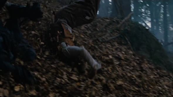 Náhled Eragon - Eragon - 2006 DVDrip CZdabing.avi (6)