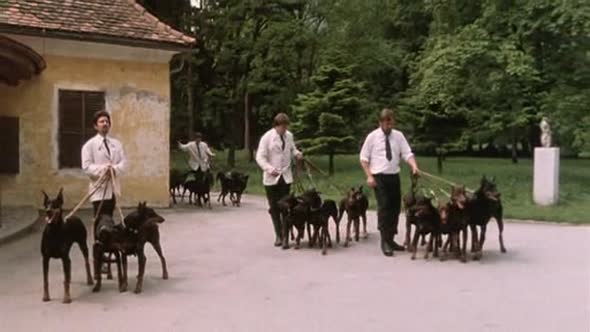 Náhled Bozska relikvie - Armour of God 1986 CZ dab DVDRip.avi (2)