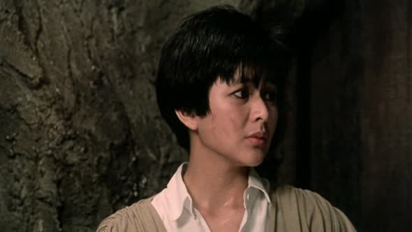 Náhled Bozska relikvie - Armour of God 1986 CZ dab DVDRip.avi (9)