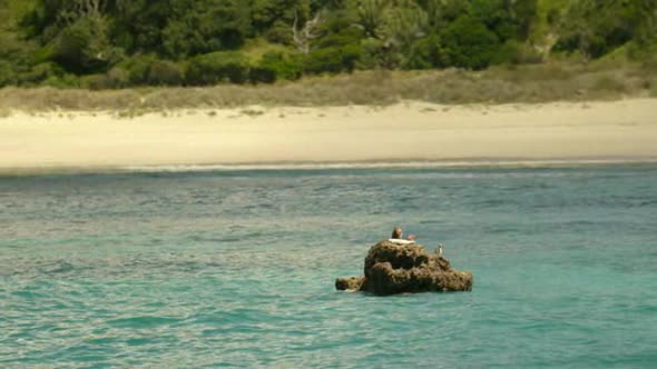 Náhled The.Shallows.2016.BDRip.XviD.CZ-FTU.avi (7)