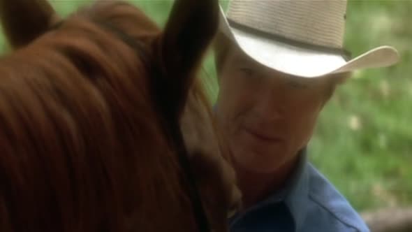 Náhled Zaříkávač-koní---The-Horse-Whisperer-1998,-CZ.avi (4)