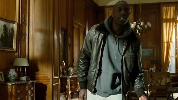 Náhled The Intouchables 2011 1080p BluRay x264 French AAC - Ozlem.mp4 (1)