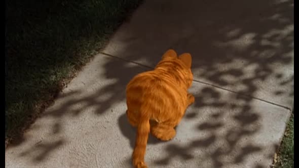 Náhled Garfield.avi (1)
