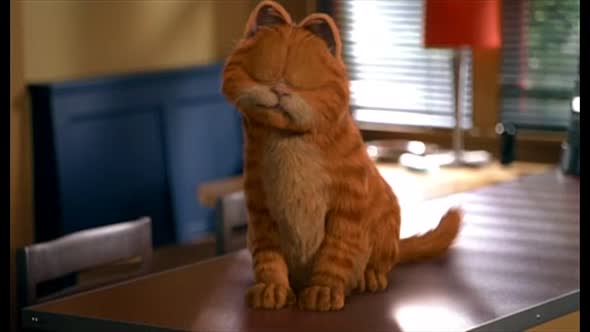 Náhled Garfield.avi (6)