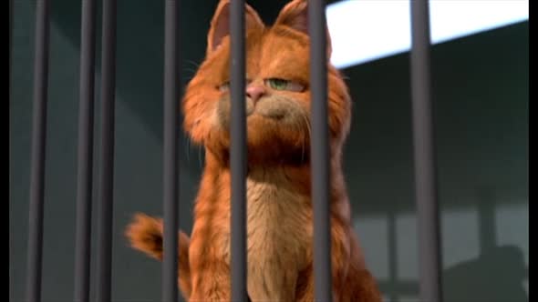 Náhled Garfield.avi (9)