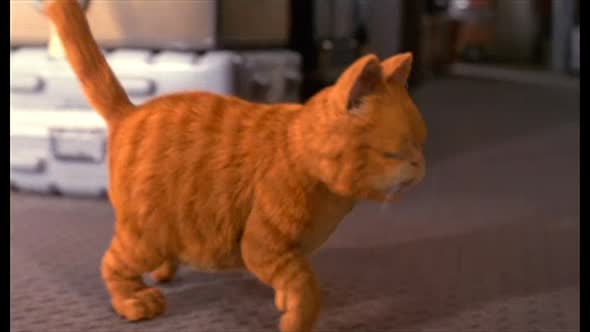 Náhled Garfield.avi (10)